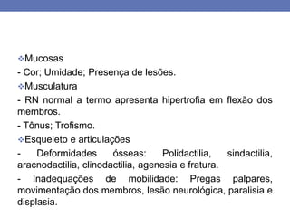 Mucosas
- Cor; Umidade; Presença de lesões.
Musculatura
- RN normal a termo apresenta hipertrofia em flexão dos
membros.
- Tônus; Trofismo.
Esqueleto e articulações
- Deformidades ósseas: Polidactilia, sindactilia,
aracnodactilia, clinodactilia, agenesia e fratura.
- Inadequações de mobilidade: Pregas palpares,
movimentação dos membros, lesão neurológica, paralisia e
displasia.
 