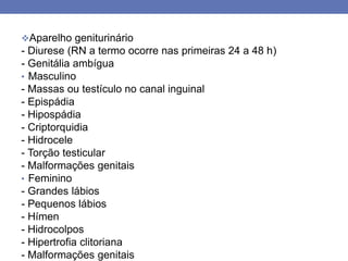 Aparelho geniturinário
- Diurese (RN a termo ocorre nas primeiras 24 a 48 h)
- Genitália ambígua
• Masculino
- Massas ou testículo no canal inguinal
- Epispádia
- Hipospádia
- Criptorquidia
- Hidrocele
- Torção testicular
- Malformações genitais
• Feminino
- Grandes lábios
- Pequenos lábios
- Hímen
- Hidrocolpos
- Hipertrofia clitoriana
- Malformações genitais
 