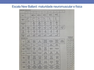 Escala New Ballard: maturidade neuromuscular e física
 