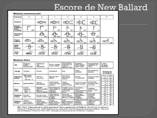Escore de New Ballard
 