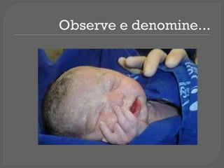 Observe e denomine...
 
