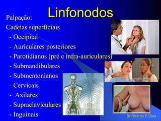 Linfonodos
Palpação:
Cadeias superfíciais
- Occipital
- Auriculares posteriores
- Parotidianos (pré e infra-auriculares)
- Submandibulares
- Submentonianos
- Cervicais
- Axilares
- Supraclaviculares
- Inguinais Dr Ricardo F. Cury
 