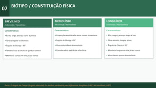 07
BIÓTIPO / CONSTITUIÇÃO FÍSICA
LONGILÍNEO
Ectomorfo / Hiperestênico
Características:
• Alto, magro, pescoço longo e fino
• Tórax estreito, longo e plano
• Ângulo de Charpy < 90°
• Membros longos em relação ao tronco
• Musculatura pouco desenvolvida
MEDIOLÍNEO
Mesomorfo / Normolíneo
Características:
• Proporções equilibradas entre tronco e membros
• Ângulo de Charpy ≈ 90°
• Musculatura bem desenvolvida
• Considerado o padrão de referência
Porto: O ângulo de Charpy (ângulo subcostal) é o melhor parâmetro para diferenciar longilíneo (<90°) de brevílineo (>90°).
BREVÍLINEO
Endomorfo / Hipostênico
Características:
• Baixo, largo, pescoço curto e grosso
• Tórax alargado e volumoso
• Ângulo de Charpy > 90°
• Tendência ao acúmulo de gordura central
• Membros curtos em relação ao tronco
 