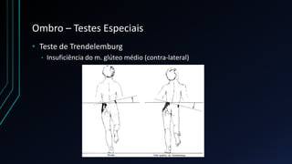Ombro – Testes Especiais
• Teste de Trendelemburg
• Insuficiência do m. glúteo médio (contra-lateral)
 