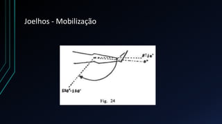 Joelhos - Mobilização
 