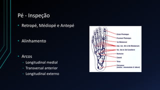 Pé - Inspeção
• Retropé, Médiopé e Antepé
• Alinhamento
• Arcos
• Longitudinal medial
• Transversal anterior
• Longitudinal externo
 