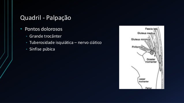 Exame fisico dos membros inferiores