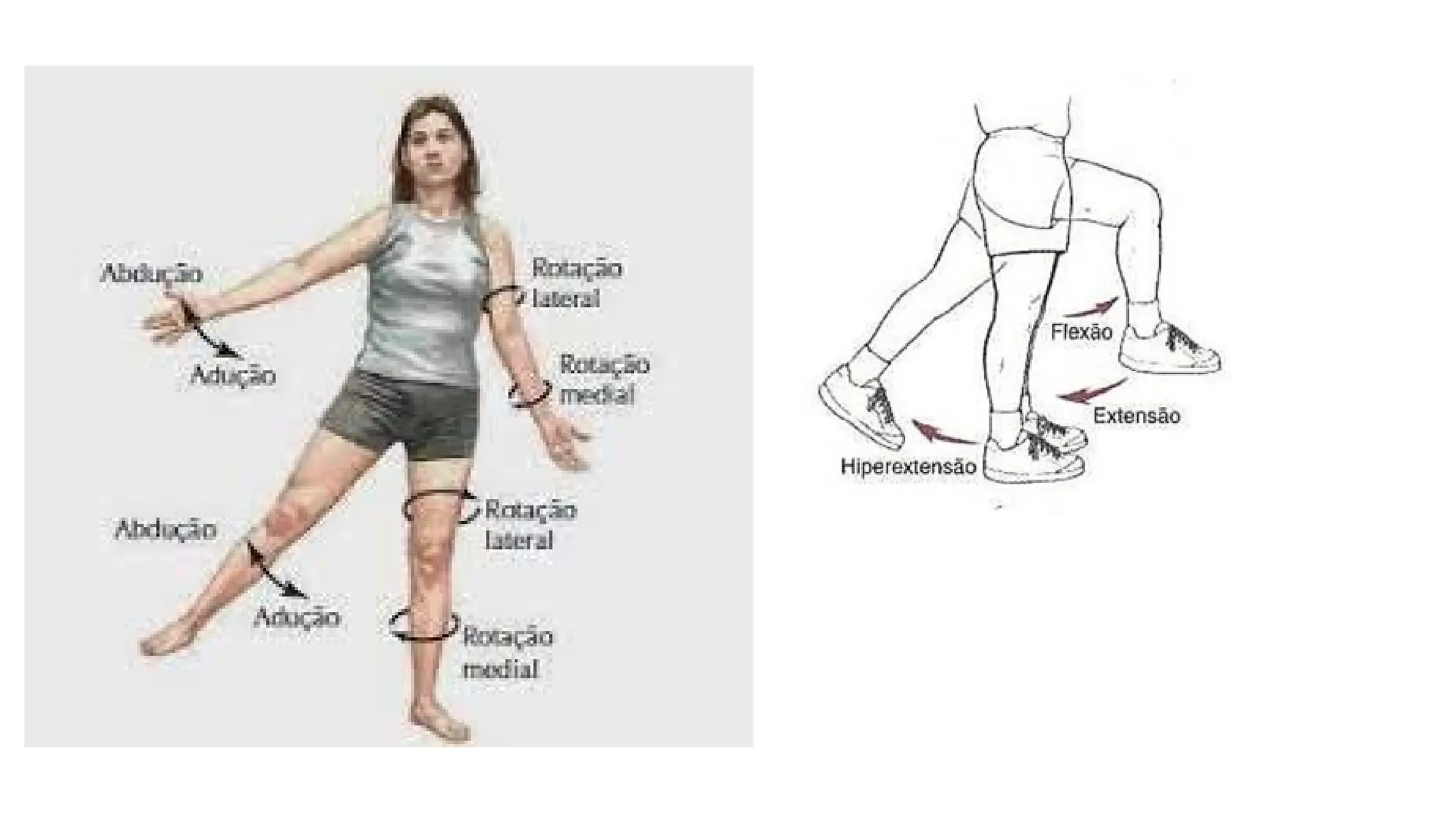 exame físico MMSS MMII enfermagem aula semiologia | PPTX