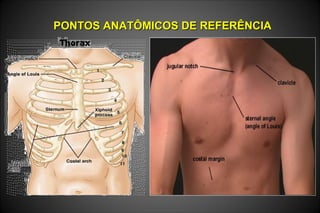 PONTOS ANATÔMICOS DE REFERÊNCIAPONTOS ANATÔMICOS DE REFERÊNCIA
 