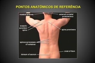 PONTOS ANATÔMICOS DE REFERÊNCIAPONTOS ANATÔMICOS DE REFERÊNCIA
 
