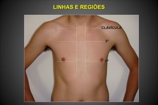 LINHAS E REGIÕESLINHAS E REGIÕES
CLAVÍCULACLAVÍCULA
3ª3ª
6ª6ª
 