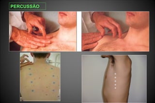 PERCUSSÃOPERCUSSÃO
 