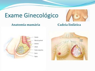 Exame Ginecológico
Anatomia mamária

Cadeia linfática

 