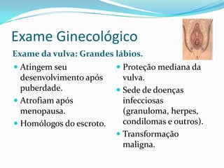 Exame Ginecológico
Exame da vulva: Grandes lábios.
 Atingem seu
desenvolvimento após
puberdade.

 Atrofiam após
menopausa.
 Homólogos do escroto.

 Proteção mediana da
vulva.
 Sede de doenças
infecciosas
(granuloma, herpes,
condilomas e outros).

 Transformação
maligna.

 
