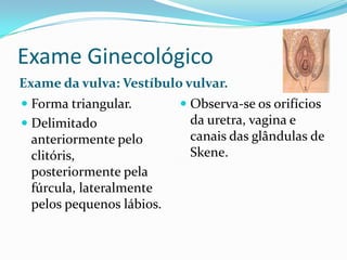 Exame Ginecológico
Exame da vulva: Vestíbulo vulvar.
 Forma triangular.
 Delimitado
anteriormente pelo
clitóris,
posteriormente pela
fúrcula, lateralmente

pelos pequenos lábios.

 Observa-se os orifícios
da uretra, vagina e
canais das glândulas de

Skene.

 