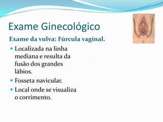 Exame Ginecológico
Exame da vulva: Fúrcula vaginal.
 Localizada na linha
mediana e resulta da
fusão dos grandes

lábios.
 Fosseta navicular.
 Local onde se visualiza
o corrimento.

 