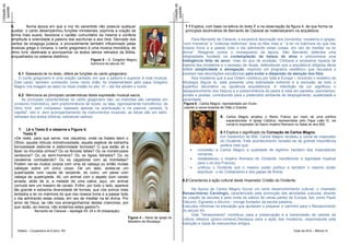 Cotação da




                                                                                                                       Cotação da
 questão




                                                                                                                        questão
             6.        Numa época em que a voz do sacerdote não possuía qualquer                                                     7.1 Explica, com base na leitura do texto E e na observação da figura 4, de que forma os
             auxiliar, o canto desempenhou funções ministeriais: exprimia a oração de                                                princípios doutrinários de Bernardo de Claraval se materializaram na arquitetura.
             forma mais suave, favorecia o caráter comunitário da mesma e conferia
             amplitude e solenidade à palavra das escrituras e aos ritos. Derivado dos                                                     Para Bernardo de Claraval, a excessiva decoração dos conventos, mosteiros e igrejas,
             cantos da sinagoga judaica, e provavelmente também influenciado pelas                                                  “com monstros” e “criaturas disformes” leva os fiéis mais a “ a ler no mármore do que nos
             músicas grega e romana, o canto gregoriano é uma música monódica, de                                                   nossos livros e a passar todo o dia admirando estas coisas, em vez de meditar na lei
             ritmo livre, destinada a acompanhar os textos latinos retirados da Bíblia,                                             divina”. Reagindo contra o monaquismo da época, São Bernardo defendia uma
             enquadrados no sistema diatónico.                                                                                      religiosidade fundada na contemplação da beleza da alma e preconizava uma
                                                                 Figura 5 – S. Gregório Magno,                                      inteligência feita de amor, mais do que de erudição. Criticava a excessiva riqueza da
                                                                 iluminura do século XII.                                           maioria dos mosteiros e o excesso de rituais, defendendo que a arquitetura religiosa devia
                                                                                                                                    refletir simplicidade e abnegação, impondo um programa «estético» que recusava o
                6.1 Baseando-te no texto, refere as funções do canto gregoriano.                                                    excesso nas decorações escultóricas para evitar a dispersão da atenção dos fiéis.
                O canto gregoriano é uma oração cantada, em que a palavra é superior à nota musical.                                       Nos mosteiros que a sua Ordem construiu por toda a Europa – incluindo o mosteiro de
              Este canto, também conhecido como canto chão, foi implementado pelo papa Gregório                                     Alcobaça (figura 4), está presente uma sobriedade extrema e a exclusão de todo o
              Magno (na imagem ao lado) no ritual cristão no séc. VI – daí lhe advém o nome.                                        supérfluo decorativo ou opulência arquitetónica. A interdição da cor significou o
                                                                                                                                    desaparecimento dos frescos e a predominância da pedra à vista em paredes, pavimentos,
                 6.2 Menciona as principais caraterísticas desta expressão musical sacra.                                           portais e janelas, contribuindo para o pretendido ambiente de despojamento, austeridade e
                   As principais características do canto gregoriano são: as melodias são cantadas em                               severidade.
              uníssono (monódico), sem predominância de vozes, ou seja, rigorosamente homofónico; de                                Figura 6 - Carlos Magno, representado por Durer,
              ritmo livre, sem compasso, baseado apenas na acentuação e na palavra; cantado "à                                      usando a coroa imperial de Otão o Grande
              capella", isto é, sem acompanhamento de instrumentos musicais; as letras são em latim,
              retiradas dos textos bíblicos, sobretudo salmos.                                                                                             8. Carlos Magno ampliou o Reino Franco por meio de uma política
                                                                                                                                                               expansionista. A Igreja Católica, representada pelo Papa Leão III, vai
                                                                                                                                                               coroá-lo imperador do Sacro Império Romano no Natal do ano 800.
                 7.   Lê o Texto E e observa a Figura 4.
                    Texto E                                                                                                                                  8.1 Explica o significado da Coroação de Carlos Magno.
              «De resto, para que serve, nos claustros, onde os frades leem o                                                                                Em Dezembro de 800, Carlos Magno recebeu a coroa de imperador
              Ofício, aquela ridícula monstruosidade, aquela espécie de estranha                                                                             do Ocidente. Este acontecimento revestiu-se de grande importância
              formosidade disforme e disformidade formosa? O que estão ali a                                                                                 politica visto que:
              fazer os imundos símios? Ou os ferozes leões? Ou os monstruosos                                                               concedeu a Carlos Magno a qualidade de legítimo herdeiro dos imperadores
              centauros? Ou os semi-homens? Ou os tigres listrados? Ou os                                                                    romanos;
              cavaleiros combatendo? Ou os caçadores com as trombetas?                                                                      restabeleceu o Império Romano do Ocidente, transferindo a dignidade imperial
              Podem ver-se muitos corpos com uma só cabeça ou então muitas                                                                   para o rei dos Francos;
              cabeças sobre um único corpo. De um lado, avista-se um                                                                        unificou o Ocidente sob o mesmo poder político e também o mesmo poder
              quadrúpede com cauda de serpente, do outro, um peixe com                                                                       espiritual - o do Cristianismo e dos papas de Roma.
              cabeça de quadrúpede. Ali, um animal com o aspeto dum cavalo
              arrasta, atrás de si, a metade de uma cabra; aqui, um animal                                                          8.2 Caracteriza a ação cultural deste Imperador Cristão do Ocidente.
              cornudo tem um traseiro de cavalo. Enfim, por todo o lado, aparece
              tão grande e estranha diversidade de formas, que nós somos mais                                                             Na época de Carlos Magno houve um certo desenvolvimento cultural, o chamado
              tentados a ler no mármore do que nos nossos livros e a passar todo                                                    Renascimento Carolíngio, caracterizado pela promoção das atividades culturais, através
              o dia admirando estas coisas, em vez de meditar na lei divina. Por                                                    da criação de escolas e pela vinda de sábios de várias partes da Europa, tais como Paulo
              amor de Deus, se não nos envergonhamos destas criancices, por                                                         Diácono, Eginardo e Alcuíno - monge fundador da escola palatina.
              que razão, ao menos, não evitamos estes gastos?»                                                                      Executou reformas na educação que ajudaram a preparar o caminho para o Renascimento
                            Bernardo de Claraval – Apologia XII, 28 e 29 (Adaptação)                                                do século XII.
                                                                                                                                          Este "renascimento" contribuiu para a preservação e a transmissão de valores da
                                                                                        Figura 4 – Nave da igreja do                cultura clássica (greco-romana).Destaque para a ação dos mosteiros, responsáveis pela
                                                                                        Mosteiro de Alcobaça.
                                                                                                                                    tradução e cópia de manuscritos antigos.
                Didáxis – Cooperativa de Ensino, RA                                                                                                                                                      Teste de HCA – Módulo III
 