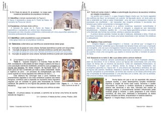 Cotação da




                                                                                                                     Cotação da
 questão




                                                                                                                      questão
               3. Em finais do século XI, já existiam, no nosso país,                                                               4.1 Tendo em conta o texto C, refere a subordinação da pintura e da escultura românica
                   mosteiros beneditinos de arquitetura românica.                                                                       em relação à arquitetura.
                                                                                                                                        De acordo com o texto C, o papa Gregório Magno impôs que “os muros sagrados
             3.1 Identifica o templo representado na Figura 2.                                                                    dos edifícios de Deus” se tornassem um suporte “da figuração sacra, um texto para ser
             A figura 2 representa a igreja de S. Pedro de Rates, no                                                              lido e entendido por toda a vasta Cristandade”, uma vez que a esmagadora maioria da
             concelho da Póvoa de Varzim.                                                                                         população era analfabeta – daí necessitar das imagens pintadas e esculpidas dos
                                                                                                                                  templos para melhor compreender a mensagem divina.
             3.2 Carateriza a fachada deste edifício.                                                                                   Desta forma, a escultura e a pintura românicas aparecem subordinadas à
                 A fachada da igreja de S. Pedro de Rates é                                                                       arquitetura. Isto significa que o escultor é obrigado a adaptar-se aos elementos
             assimétrica e apresenta um pórtico bem dimensionado,                    Figura 2                                     arquitetónicos – tímpanos, capitéis, etc. – e a uma lógica geométrica própria, que impõe
             franqueado por dois robustos contrafortes e estruturado em cinco arquivoltas assentes em                             uma distorção das formas dos animais, plantas e pessoas esculpidas.
             colunelos profusamente decorados.                                                                                          A pintura decora paredes, frontais de altar e retábulos, abóbadas e tetos. Divide-se
                                                                                                                                  em frisos horizontais, como se fosse uma banda desenhada e tem também fins didáticos
             3.3 Identifica o estilo arquitetónico a que corresponde.                                                             e catequéticos
               Esta igreja insere-se na arquitetura românica.
                                                                                                                                   4.2 Explica a frase sublinhada.
             3.4 Seleciona a alternativa que identifica as características desta igreja:                                                  Gregório Magno – o papa Gregório I, o Grande – ao afirmar que “ a imagem é a
                                                                                                                                  escrita dos iletrados” pretendia que a decoração dos templos fosse como que a ilustração
             A.     Inscrição da igreja em zona urbana, fachada assimétrica e portal com arquivoltas.                             do evangelho, uma vez que a esmagadora maioria da população era analfabeta. Tanto as
             B.      Inscrição da igreja em zona rural, fachada simétrica e portal sem arquivoltas.                               paredes do templo, como os seus elementos essenciais (a cabeceira e o portal) servem
             C.     Inscrição da igreja em zona rural, fachada assimétrica e portal com arquivoltas.                              de suporte a toda uma iconografia cujo objetivo é ensinar aos fiéis a Verdade da palavra
             D.     Inscrição da igreja em zona urbana, fachada simétrica e portal sem arquivoltas.                               de Deus.

                                                                                                                                   4.3 Baseando-te no texto D, diz o que sabes sobre a pintura medieval.
               4.     Lê os textos C e D e observa a figura 3.                                                                           A pintura medieval, sempre subordinada à arquitetura, tem finalidade didática -
                      Texto C - “Quando Gregório I, O Grande, Papa de 590 a                                                       além de decorativa. A cor é intensa, pura e as figuras são contornadas com uma linha
             604, constatando a dificuldade de fazer chegar a palavra de Deus a                                                   negra Os temas são os mesmos da escultura: Cristo em majestade (Pantocrator), os
             uma população sobretudo analfabeta, proclamou que a imagem é a                                                       Tetramorfos, a Virgem com o Menino, temas do Antigo e Novo Testamento, dos
             escrita dos iletrados, fez dessa imagem, da figuração sacra, um                                                      Evangelhos apócrifos e o “Agnus Dei”. É uma pintura anti naturalista e simbólica, em que
             texto para ser lido e entendido por toda a vasta cristandade, desde                                                  as figuras são solenes, hieráticas, distantes e severas. São figuras planas, pois não têm
             a regência ao povo - um processo de evangelização que tinha                                                          volume, perspetiva ou profundidade. Os fundos são neutros ou em faixas policromas para
             como suporte os muros sagrados dos edifícios de Deus. (…)                                                            dar a impressão de intemporalidade. É uma arte feita com a mente, não com os sentidos.
                      Esta abertura fez comungar todo o povo medieval nos                                                         Não procura a beleza, mas o expressionismo.
             ensinamentos sagrados e nos mais simbólicos quadros dos textos
             litúrgicos, contribuiu para a explosão do riquíssimo léxico figurativo                                                                       5.        Numa época em que a voz do sacerdote não possuía
             sagrado que se constata no gosto pela diversidade do homem                                                                                   qualquer auxiliar, o canto desempenhou funções ministeriais:
             medieval, tão patente no livro figural das paredes das Igrejas e dos        Figura 3 – O Trono de                                            exprimia a oração de forma mais suave, favorecia o caráter
             Mosteiros.                                                                  Deus, iluminura do séc XI                                        comunitário da mesma e conferia amplitude e solenidade à
                            Hugo Lopes, Os mosteiros medievais como edifícios de saber                                                                    palavra das escrituras e aos ritos. Derivado dos cantos da
                                                                                                                                                          sinagoga judaica, e provavelmente também influenciado pelas
                                                                                                                                                          músicas grega e romana, o canto gregoriano é uma música
             Texto D - «A pintura estava, na verdade, a caminho de se tornar uma forma de escrita                                                         monódica, de ritmo livre, destinada a acompanhar os textos
             através de imagens.»                                                                                                                         latinos retirados da Bíblia, enquadrados no sistema diatónico.
                                                      E.H. Gombrich, A História da Arte, Londres, Phaidon, 2005
                                                                                                                                                         Figura 4 – S. Gregório Magno, iluminura do século XII.




               Didáxis – Cooperativa de Ensino, RA                                                                                                                                                    Teste de HCA – Módulo III
 