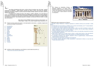 Cotação da




                                                                                                                                     Cotação da
 questão




                                                                                                                                      questão
             9.                                                                                                                                       10.   Graças ao matemático Endoxe, ao
             Doc. I                                                                                                                                   geómetra Pitágoras e ao artista Fídias, a
                        «As ordens arquitetónicas são duas: a dórica (coluna de arestas vivas, sem base - assente                                     arquitetura grega encontrou a “secção de ouro”,
             diretamente no estilóbato -, capitel simples, composto por ábaco e equino, friso divido em métopas,                                      número que representa a base das proporções
             geralmente esculpidas e tríglifos) e a jónica (coluna de arestas cortadas, assente numa base, capitel de                                 do corpo humano, depois aplicado à escultura
             volutas e friso contínuo).                                                                                                               e à arquitetura.
                        A coríntia é uma variante da jónica, pois apenas o capitel é diferente, com suas folhas de
             acanto, que representam uma admirável solução para estabelecer a transição entre a forma retangular
             da arquitrave e a cilíndrica do fuste, além de resolverem a dificuldade da posição dos capitéis jónicos
             nos ângulos dos templos. Outra variante possível é a cariátide, ou coluna em forma de mulher, e o atlas
             com a de homem.»

                                                    Maria Helena da Rocha PEREIRA, Estudos de História da Cultura Clássica, I vol.
                                                                                                                                                                                                                       Doc. L - Pártenon
                                                    Cultura Grega, 4.ª edição, (1975), Lisboa Fundação Calouste Gulbenkian,p. 472.

             9.1 Partindo da leitura atenta documento I e da observação do documento J, completa a legenda dos                                      10.1 Expõe quatro caraterísticas do Pártenon.
                                                                                                                                                    Dedicado a Atena Párthenos, o Pártenon apresenta un peristilo (colunas que circundam a cella)
                    pontos que constam do documento J.
                                                                                                                                                  dórico.
             A-    Envasamento                                                                                                                      • É anfiprostilo (com dois pórticos) e octástilo (com 8 colunas nas fachadas), com 17 colunas laterais.
             B-    Estereóbata                                                                                                                      • É construído com mármore Pentélico e policromado;
             C-    Estilóbata                                                                                                                       • O acesso ao seu interior efetuava-se pelo pronaos ou átrio, por onde se entrava na cella, que
             D-    Coluna                                                                                                                             estava dividida em três naves por duas fileiras de colunas, entre as quais estava colocada a
             E-    Fuste                                                                                                                              estátua criselefantina, em ouro e marfim, de Atena.
             F-    Capitel                                                                                                                          • A divisão chamada Partenón, ficava situada atrás da cella e era reservada unicamente ao serviço
             G-    Equino                                                                                                                             das sacerdotisas ("parthénos").
             H-    Ábaco                                                                                                                            • Neste templo misturam-se as ordens dórica e jónica: a ordem jónica decora o friso pan-atenaico
             I-    Arquitrave                                                                                                                         que circunda a cella, enquanto a dórica está presente nos restantes elementos do templo.
             J-    Entablamento                                                                                                                     • A decoração escultórica das métopas apresenta cenas de gigantomaquia, amazonomaquia,
             L-    Friso                                                                                                                              centauromaquia e da guerra de Troia.
             M-    Tríglifo                                                                                                                         • O friso jónico da cella mostra a procissão das Panateneas.
             N-    Métopa                                                                                                                           • Os frontões, também atribuídos a Fídias, apresentam o nascimento de Atena e a sua luta com
             O-    Cornija                                                                                                                            Posídon pela posse da Ática.
             P-    Frontão
             Q-    Tímpano




             9.2 Identifica a ordem arquitetónica a que pertence a coluna deste documento (J).
                    Trata-se de uma coluna de ordem dórica.




             Didáxis – Cooperativa de Ensino - RA                                                                                                                                                                               Teste de HCA – Módulo I
 
