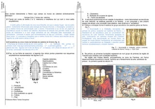 Cotação da




                                                                                                                 Cotação da
                                                                                                                  questão
 questão




             deve encher inteiramente o Reino cujo campo os muros da catedral simbolicamente                                          8.– Clerestório;
             delimitam.”                                                                                                              9.- Abóbada de cruzaria de ogivas;
                                       Georges Duby, O tempo das catedrais                                                            10. - Fecho da abóbada.
              2.1 Tendo em conta os textos 2 e 3, relaciona a metafísica da Luz com o novo estilo                             3. A escultura autonomiza-se em relação à arquitetura - como demonstram as esculturas
                  arquitetónico.                                                                                              de vulto redondo, as estátuas jacentes e os retratos - e ao conquistar o seu próprio
                                                                                                                              espaço ela atingiu uma conceção mais plástica, mais dinâmica e “verdadeira”.
                    O estilo gótico é afirmação de uma nova filosofia, em que o abade Suger, “pai do estilo                   3.1 Refere a inovação formal e estética do grupo escultórico da catedral gótica de Reims
              gótico”, fortemente influenciado pela teologia de Pseudo-Dionísio, o Areopagita, considera a                        (fig.7).
              luz a melhor forma de comunicação com o Divino. Fisicamente a luz vai ter um papel de                                   A Anunciação e a Visitação, esculpidas nas
              importância crucial no interior da catedral, difundindo-se através dos grandes vitrais numa                     jambas do pórtico ocidental da Catedral de Reims (...)
              áurea de misticismo e a sua carga simbólica vai ser reforçada pela acentuação do                                libertaram-se da arquitetura para se converterem em
              verticalismo. “luminoso é aquilo que luminosamente se liga ao Luminoso – Suger retrata                          esculturas de vulto redondo, firmemente apoiadas no
              Deus como O Luminoso e considera que a melhor forma de O adorar será através da luz,                            solo, continuando um caminho iniciado em Chartres.
              “agente da união entre a alma e Deus”.                                                                          Privilegiando uma aproximação ao mundo físico, as
                                                                                                                              pregas da roupa deixam transparecer as anatomias que
              2.2 Caracteriza os cinco níveis da fachada da catedral de Amiens (fig. 4).                                      cobrem e, especialmente na Visitação, o escultor parece
                A fachada de Amiens divide-se em cinco partes: 1.ª - os habituais três portais no                             dominar completamente o modelo clássico.
              primeiro nível, mas aqui extremamente profundos; 2.ª - a primeira galeria;        3.ª   -     a
              galeria dos reis - figuras com 4,5m de altura; 4.ª - a rosácea, com vitrais do século XVI; 5.ª -                                                          Fig. 7 – Anunciação e Visitação, pórtico ocidental,
              as torres, concluídas nos séculos XIV e XV.                                                                                                               Catedral de Reims, França, c. 1225-1245.

              2.3 Faz, na tua folha de exercício, a legenda dos vários pontos presentes nos esquemas                          4. Na pintura, as primeiras inovações registaram-se num grupo de pintores da região da
                  arquitetónicos representados nas figuras 5 e 6.                                                             Toscana que cortaram com a tradição bizantina.
                                                                                                                                  Na região dos Países Baixos, principalmente na zona da Flandres, em franco
                                                 1.              Capelas radiantes;                                           desenvolvimento económico e social, verificou-se o florescimento da arte, sobretudo da
                                                 2.              Deambulatório;                                               pintura - no primeiro quartel do século XV.
                                                 3.              Capela-mor e Altar;
                                                 4.              Coro;
                                                 5.              Corredores do coro;
                                                 6.              Cruzeiro;
                                                 7.              Transepto;
                                                 8.              Contrafortes ou Botaréus;
                                                 9.              Nave central;
                                                 10.             Naves laterais;
                                                 11.             Portais.

                           Fig. 5                      Fig. 6

                     1.– Pináculo;
                     2. – Arcobotante;
                     3.– Gárgula;
                     4.– Contraforte;
                     5.– Arco quebrado ou ogival;
                     6.– Trifório;
                     7.– Pilar;
                                                                                                                              Fig. 8 - Jan Van Eyck, O Virgem do Chanceler
             Professora Maria Teresa Gonçalves                                                                                                                                            Exame deFig. 9 – Módulo IV
                                                                                                                                                                                                   HCA                        2
                                                                                                                                               Rolin, 1435.
 