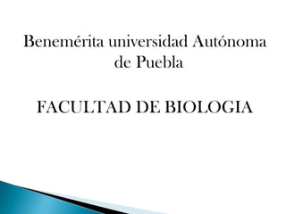 Benemérita universidad Autónoma de Puebla FACULTAD DE BIOLOGIA  