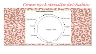 Como es el circuito del habla

 