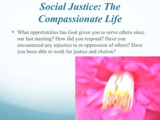 Social Justice: The
Compassionate Life
 What opportunities has God given you to serve others since
our last meeting? How did you respond? Have you
encountered any injustice to or oppression of others? Have
you been able to work for justice and shalom?
 