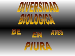 DIVERSIDAD BIOLOGICA DE AVES EN PIURA 