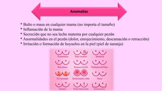Anomalías
* Bulto o masa en cualquier mama (no importa el tamaño)
* Inflamación de la mama
* Secreción que no sea leche materna por cualquier pezón
* Anormalidades en el pezón (dolor, enrojecimiento, descamación o retracción)
* Irritación o formación de hoyuelos en la piel (piel de naranja)
 