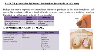 6. A.N.D.I. (Anomalías del Normal Desarrollo e Involución de la Mama)
Incluye un amplio espectro de alteraciones mamarias producto de las manifestaciones del
desarrollo, cambios cíclicos e involución de la mama, que conducen a variados cuadros
histológicos y clínicos sin solución de continuidad
7. TUMORES BENIGNOS DE MAMA
 