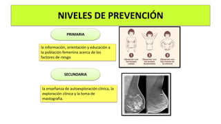 NIVELES DE PREVENCIÓN
la información, orientación y educación a
la población femenina acerca de los
factores de riesgo
PRIMARIA
la enseñanza de autoexploración clínica, la
exploración clínica y la toma de
mastografia.
SECUNDARIA
 