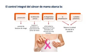 El control integral del cáncer de mama abarca la:
prevención
la detección
precoz
el diagnóstico
y tratamiento
la
rehabilitación
cuidados
paliativos.
control de
factores de riesgo
mejorar el
pronóstico y la
supervivencia del
cáncer de mama
enfermedad se
diagnostica en fases
avanzadas y los
recursos son muy
limitados.
Mejorar la calidad
de vida de la
paciente
 
