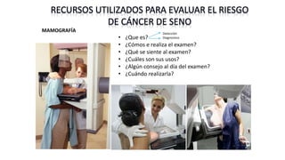 RECURSOS UTILIZADOS PARA EVALUAR EL RIESGO
DE CÁNCER DE SENO
MAMOGRAFÍA
• ¿Que es?
• ¿Cómos e realiza el examen?
• ¿Qué se siente al examen?
• ¿Cuáles son sus usos?
• ¿Algún consejo al día del examen?
• ¿Cuándo realizarla?
Detección
Diagnostico
 