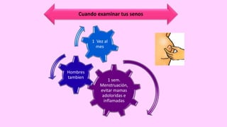 1 sem.
Menstruación,
evitar mamas
adoloridas e
inflamadas
Hombres
tambien
1 Vez al
mes
Cuando examinar tus senos
 