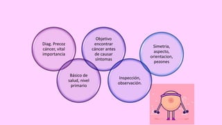 Diag. Precoz
cáncer, vital
importancia
Básico de
salud, nivel
primario
Objetivo
encontrar
cáncer antes
de causar
síntomas
Inspección,
observación.
Simetria,
aspecto,
orientacion,
pezones
 