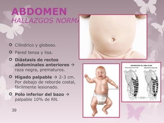  Cilíndrico y globoso.
 Pared tensa y lisa.
 Diástasis de rectos
abdominales anteriores 
raza negra, prematuros.
 Hígado palpable  2-3 cm.
Por debajo de reborde costal,
fácilmente lesionado.
 Polo inferior del bazo 
palpable 10% de RN.
39
ABDOMEN
HALLAZGOS NORMALES
 