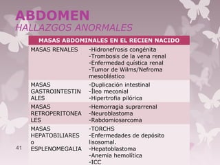 ABDOMEN
HALLAZGOS ANORMALES
MASAS ABDOMINALES EN EL RECIEN NACIDO
MASAS RENALES -Hidronefrosis congénita
-Trombosis de la vena renal
-Enfermedad quística renal
-Tumor de Wilms/Nefroma
mesoblástico
MASAS
GASTROINTESTIN
ALES
-Duplicación intestinal
-Íleo meconial
-Hipertrofia pilórica
MASAS
RETROPERITONEA
LES
-Hemorragia suprarrenal
-Neuroblastoma
-Rabdomiosarcoma
MASAS
HEPATOBILIARES
o
ESPLENOMEGALIA
-TORCHS
-Enfermedades de depósito
lisosomal.
-Hepatoblastoma
-Anemia hemolítica
-ICC
41
 