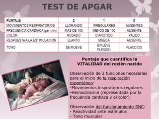 TEST DE APGAR
5
Puntaje que cuantifica la
VITALIDAD del recién nacido
Observación de 2 funciones necesarias
para el inicio de la respiración
espontánea:
-Movimientos inspiratorios regulares
-Hemodinamia (representada por la
frecuencia cardiaca y el color)
Observación del funcionamiento SNC:
- Reactividad ante estímulos
- Tono muscular
 