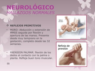  REFLEJOS PRIMITIVOS
• MORO: Abducción y extensión de
MMSS seguida por flexión y
apertura de las manos. Presente
desde muy temprano en la
gestación, completo desde las 32
semanas.
• PRENSION PALMAR: flexión de los
dedos al contacto con la palma o
planta. Refleja buen tono muscular.
55
NEUROLÓGICO
HALLAZGOS NORMALES
 