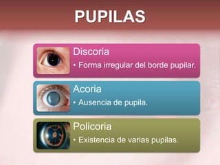 Examen de Ojo | PPTX