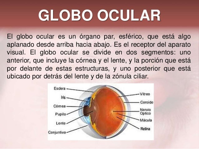 Examen de Ojo