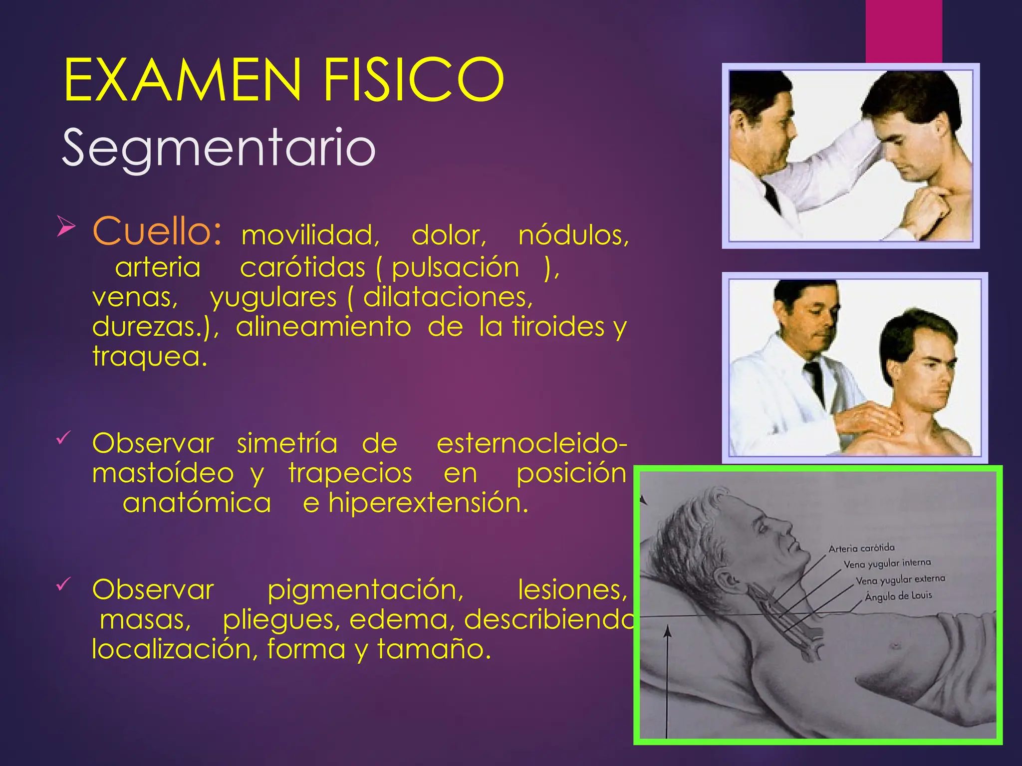 examen-físico céfalo caudal en el paciente .ppt