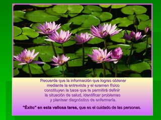 FIN Recuerda que la información que logras obtener mediante la entrevista y el examen físico constituyen la base que te permitirá definir  la situación de salud, identificar problemas y plantear diagnóstico de enfermería. "Éxito" en esta valiosa tarea,  que es el cuidado de las personas.   