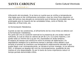 Centro Cultural Vitivinícola 4)Duración del encubado.  Si se tiene en cuenta que se vinifica a temperaturas mas bajas que en las vinificaciones corrientes y que los vinos finos requieren un valor de taninos mas elevado es conveniente que el tiempo de encubado sea mas prolongado para la mayoría de las variedades tintas, como el Merlot, los Cabernet, el Pinot tinto, etc. 5) Fermentación Maloláctica. Cuando se dan las condiciones, el afinamiento de los vinos tintos se obtiene con la fermentación maloláctica. Por parte del vino la condición esencial es la presencia de una acidez natural suficiente, la cual se sitúa en valores de pH de 3,4 a 3,5 como máximo, y en acidez total un mínimo de 6,1g por mil, expresados en ácido tartárico. El espacio de tiempo que transcurre entre el proceso de elaboración y la degradación biológica se lo denomina tiempo o período crítico debido a que durante el proceso se mantiene una temperatura relativamente elevada lo que puede llegar a ser contraproducente, se retrasa el primer trasiego, no se adiciona SO2, ni tampoco se despeje del vino los microorganismos, quedando de esa manera el vino desprotegido. Es por lo tanto de suma importancia reducir el tiempo período denominado crítico. 