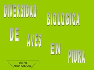 DIVERSIDAD BIOLOGICA DE  AVES EN PIURA HOLLER  ALBURQUEQUE 