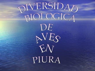DIVERSIDAD BIOLOGICA DE AVES EN PIURA 