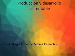 Producción y desarrollo
sustentable
Por: Diego Armando Molina Camacho
 