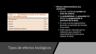 Tipos de efectos biológicos
• Efectos determinísticos (no
aleatorios
• Ocurre cuando se cumple un
nivel de umbral.
• La probabilidad y la gravedad del
efecto es proporcional al
aumento de la dosis
• En una o varias exposiciones
durante un período de tiempo
muy corto.
• Daño celular inducido por la
radiación que excede la
capacidad de la célula para
reparar el daño.
 