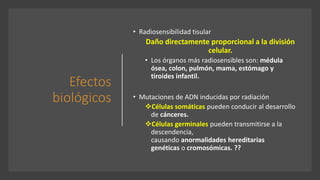 Efectos
biológicos
• Radiosensibilidad tisular
Daño directamente proporcional a la división
celular.
• Los órganos más radiosensibles son: médula
ósea, colon, pulmón, mama, estómago y
tiroides infantil.
• Mutaciones de ADN inducidas por radiación
❖Células somáticas pueden conducir al desarrollo
de cánceres.
❖Células germinales pueden transmitirse a la
descendencia,
causando anormalidades hereditarias
genéticas o cromosómicas. ??
 