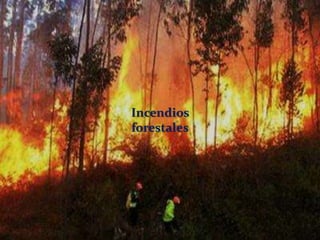 Incendios
forestales
 